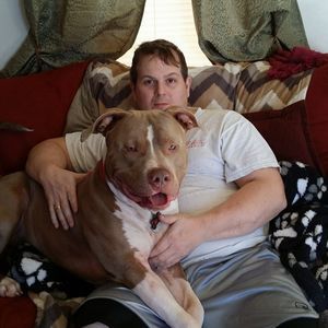 Meet your Posher, Shane